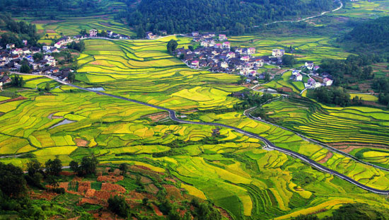 eb5e6c02-c210-43a6-928e-2f76a3f59b90_size84_w550_h311 eb5e6c02-c210-43a6-928e-2f76a3f59b90_size84_w550_h311