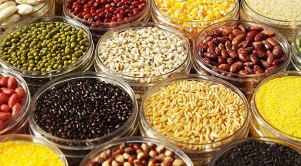 MAIN201801311337399847375855947 MAIN201801311337399847375855947