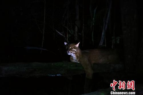 点击查看大图 点击查看大图