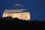 “超级月亮”现身堪培拉