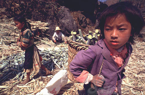 668d34a3gc15302912397&690