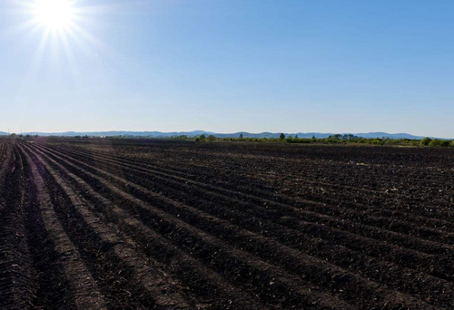 QQ截图20180205085811 QQ截图20180205085811