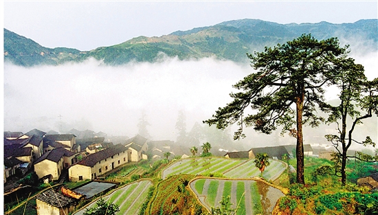 zjrb2017111000005v02b017 zjrb2017111000005v02b017