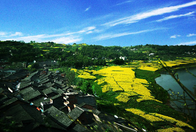 xin_060410170816252998719 xin_060410170816252998719