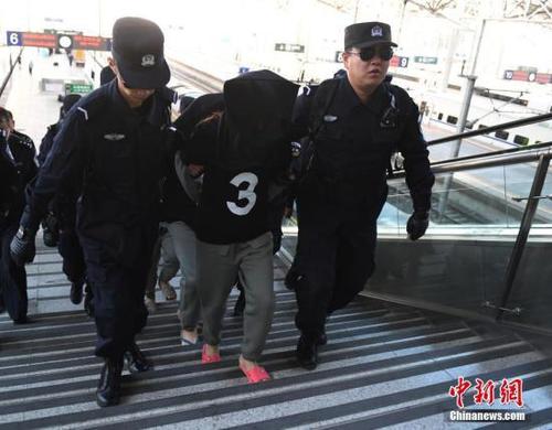 8月29日，在长春火车站，10名电信诈骗犯罪嫌疑人被长春警方从缅甸经云南押解回国。据悉，这十名犯罪嫌疑人自2013年1月开始作案235起，跨24个省、自治区、直辖市，涉案金额360万元人民币。 中新社记者 张瑶 摄