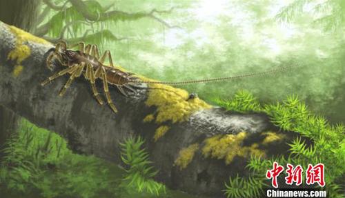 缅甸琥珀中怪物蜘蛛(Chimerarachne yingi)的生态复原。南古所 制图