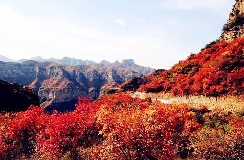 QQ截图20180207085718 QQ截图20180207085718