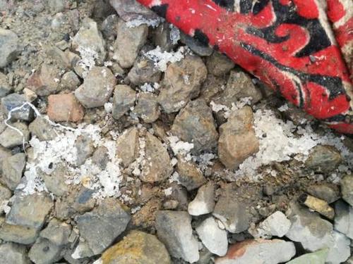 江苏老太为腌咸菜拿走融雪盐:不是我一个人 没人管