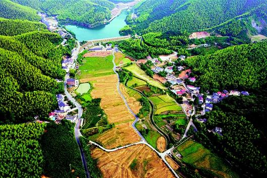 W020180205264797472244 W020180205264797472244