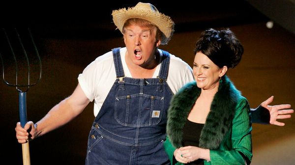 中国发起美高粱反倾销调查 或影响特朗普“票仓”