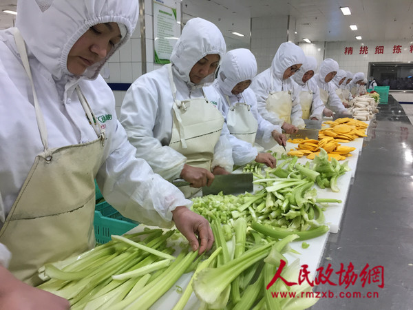 1-工作人员正在摘菜切菜_副本 1-工作人员正在摘菜切菜_副本