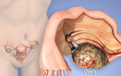 QQ图片20180208224235 QQ图片20180208224235