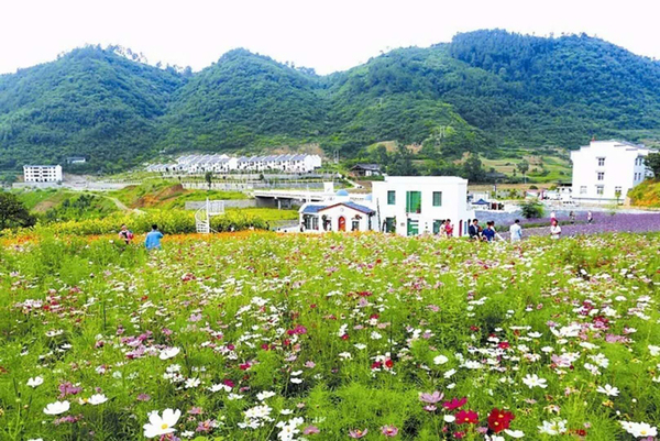 f224b7285f38b7ac69b7974d53ab3e9a f224b7285f38b7ac69b7974d53ab3e9a