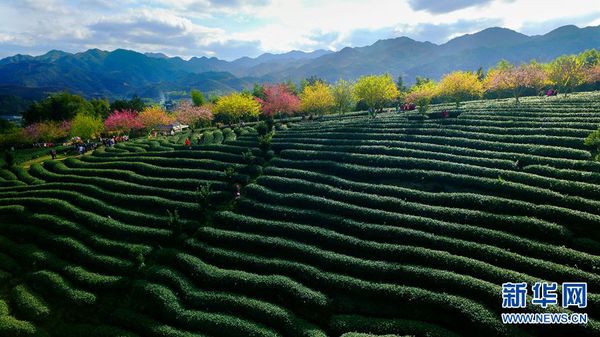 1118181518_14566525426901n 1118181518_14566525426901n