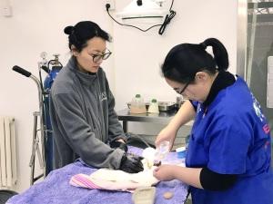 探访北京猛禽救助中心5名救助师确保中心全年运行