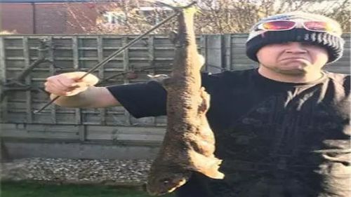 小伙和父亲正在庭院喝茶 突然一条鲨鱼从天而降