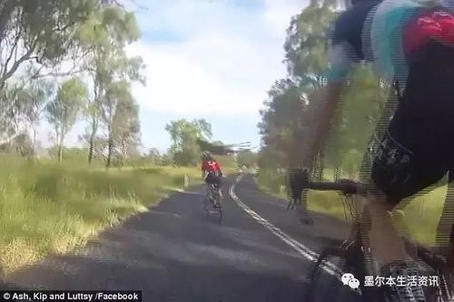 小伙和父亲正在庭院喝茶 突然一条鲨鱼从天而降