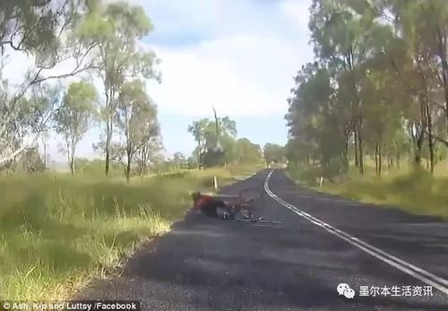 小伙和父亲正在庭院喝茶 突然一条鲨鱼从天而降