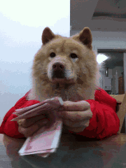 父母挪用孩子5.8万压岁钱被起诉 压岁钱该归谁?