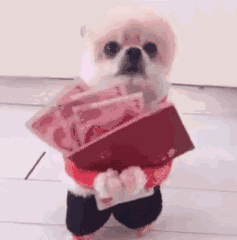 父母挪用孩子5.8万压岁钱被起诉 压岁钱该归谁?