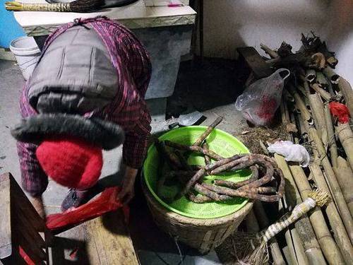 儿行千里远赴东北 四川母亲把家的味道塞满后备箱