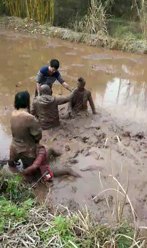 车主春节因错车引发争执 打架打到水田里变泥人