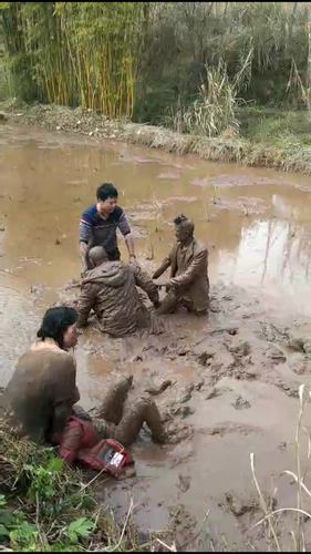 车主春节因错车引发争执 打架打到水田里变泥人