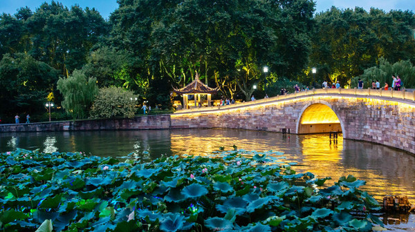 6631514167421624609 6631514167421624609