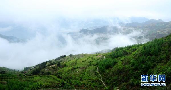 Img374967661 Img374967661