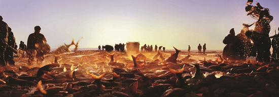 5a0c2f4e00e9414e1ce914c420afdee8 5a0c2f4e00e9414e1ce914c420afdee8