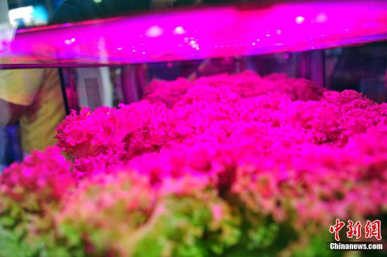 7a57f102ade14f7c8cdf6bf4e3c2a947 7a57f102ade14f7c8cdf6bf4e3c2a947