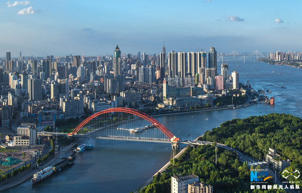 1122216832_15151417206351n 1122216832_15151417206351n