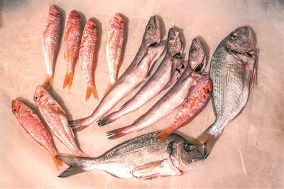 1122445795_1519434880871_title0h 1122445795_1519434880871_title0h