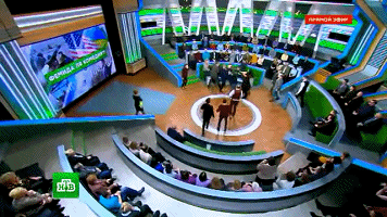 1519450486951448.gif Ukraine Debate Sparks Epic Rumble Live on Russian TV (VIDEO) - Sputnik International.mp4_1519450470.gif