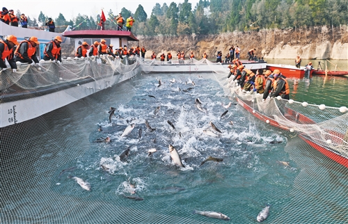 1122452429_15196041380721n 1122452429_15196041380721n