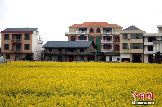 农田与村庄美如画。 李建平 摄 点击进入下一页