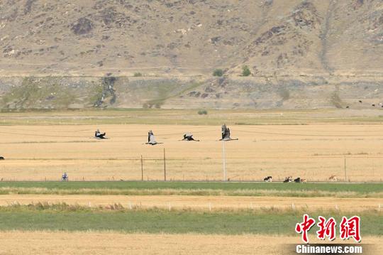 3c2b15dbf68e4c30987b3d3059a43a75 3c2b15dbf68e4c30987b3d3059a43a75