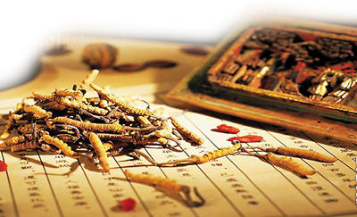 168116DC7407576D526B4EE008355FCA 168116DC7407576D526B4EE008355FCA