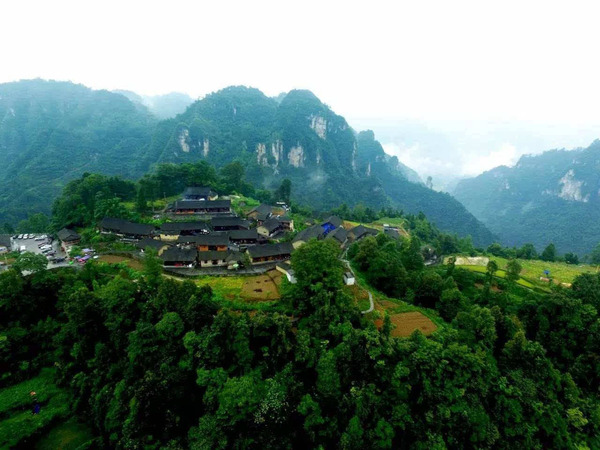 147292108657680820 147292108657680820