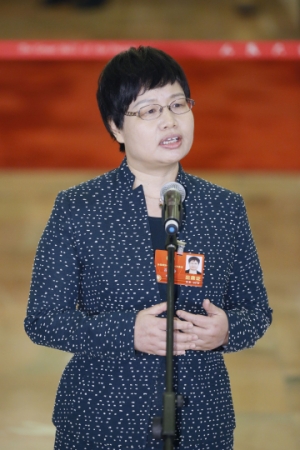 （12）全国政协委员接受采访