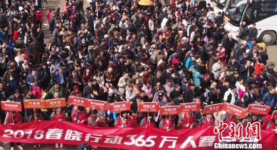 看房团浩浩荡荡?！≈煜?摄