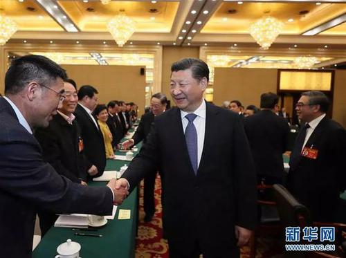 2017年3月4日下午，习近平看望参加全国政协十二届五次会议的民进、农工党、九三学社委员，并参加联组会，听取意见和建议。新华社记者 鞠鹏 摄