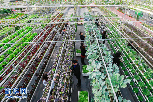 1120469658_14871244947651n 1120469658_14871244947651n