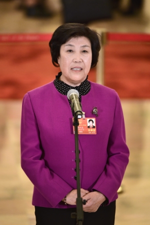 (6)全国人大代表接受采访 (6)全国人大代表接受采访