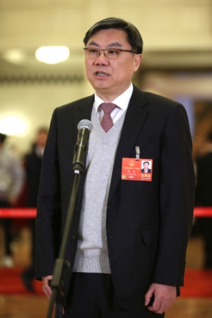 (10)全国人大代表接受采访 (10)全国人大代表接受采访