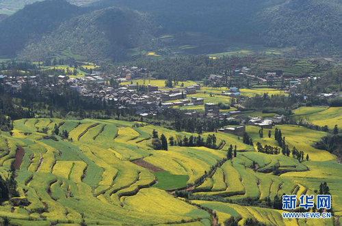 128840750_14591376105771n 128840750_14591376105771n