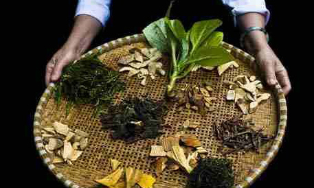 黎族医药 黎族医药