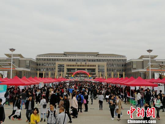 图为招聘会?！⊥跹蘖?摄