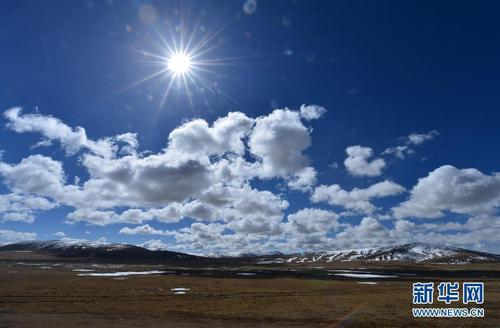 115737718_31n 115737718_31n