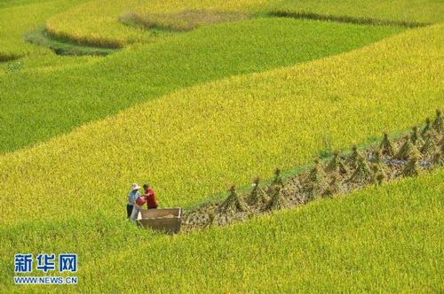 2501269793150163834 2501269793150163834